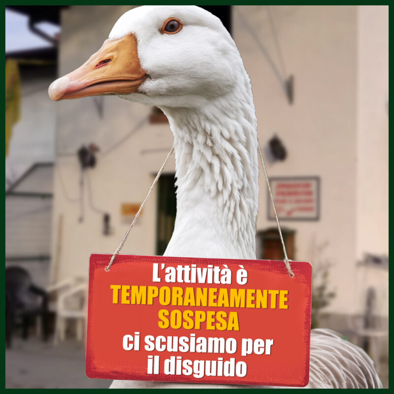 chiusura-temporanea-ocasantalbino